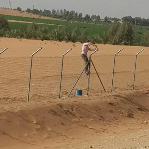 صورة